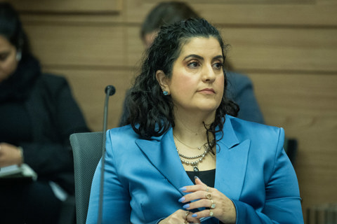 שגית אפק