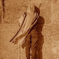 חיים גולדברג, פלאש 90