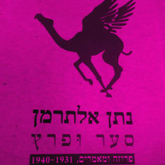 כריכת הספר 'סער ופרץ'