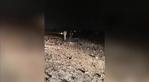 הטלוויזיה הסורית: "ישראל תקפה בנמל התעופה של חלב"