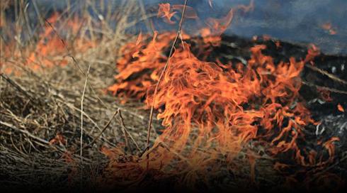 ל"ג בעומר שרבי: ברחבי הארץ נערכים לסכנת שריפות