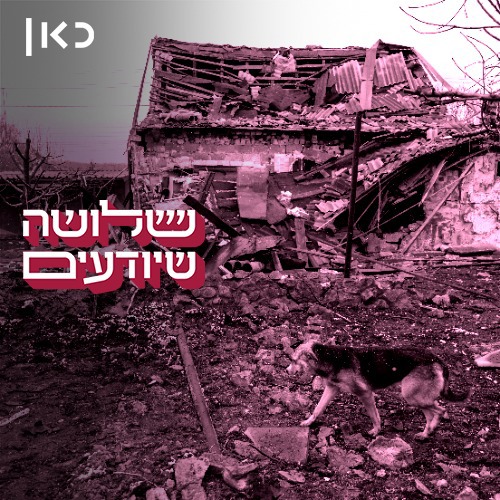 כל כלב עזוב היה לי כאח