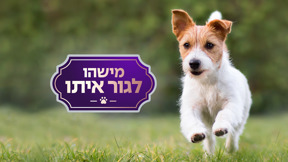 מישהו לגור איתו