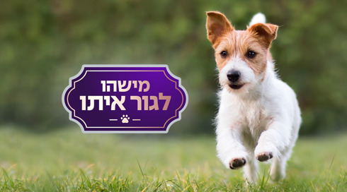 מישהו לגור איתו