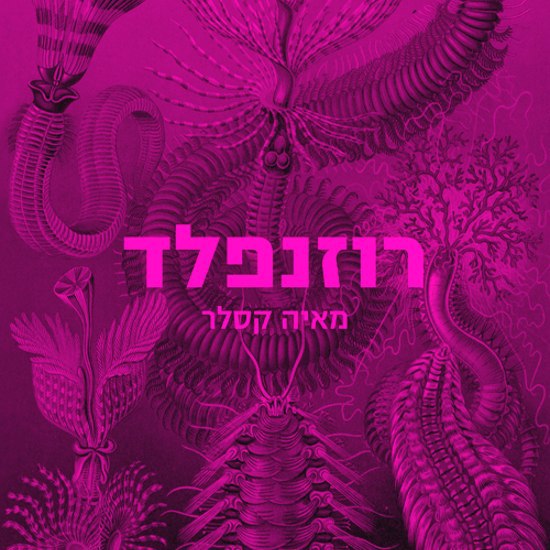רוזנפלד - מיסטר דארסי החדש