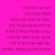 קטע משיר של מאיר ויזילטיר