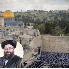 אבי טיילור8