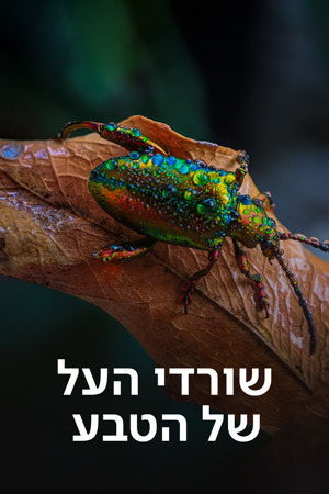 שורדי העל של הטבע
