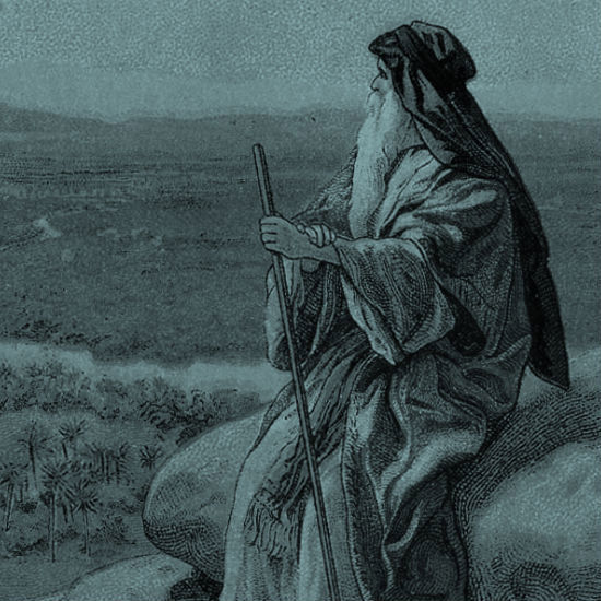 וְעוֹד אַתָּה הוֹלֵךְ: אש זרה נכנסת לסוכה