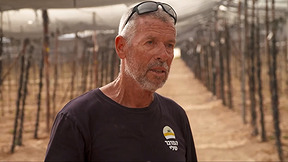 החקלאות בערבה נמצאת בסכנה? המאגרים מתרוקנים - ומי ההשקייה אוזלים