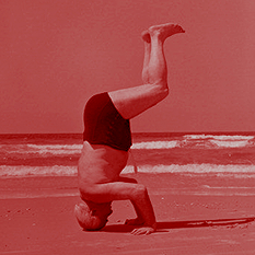 Square 500X500 תמונה