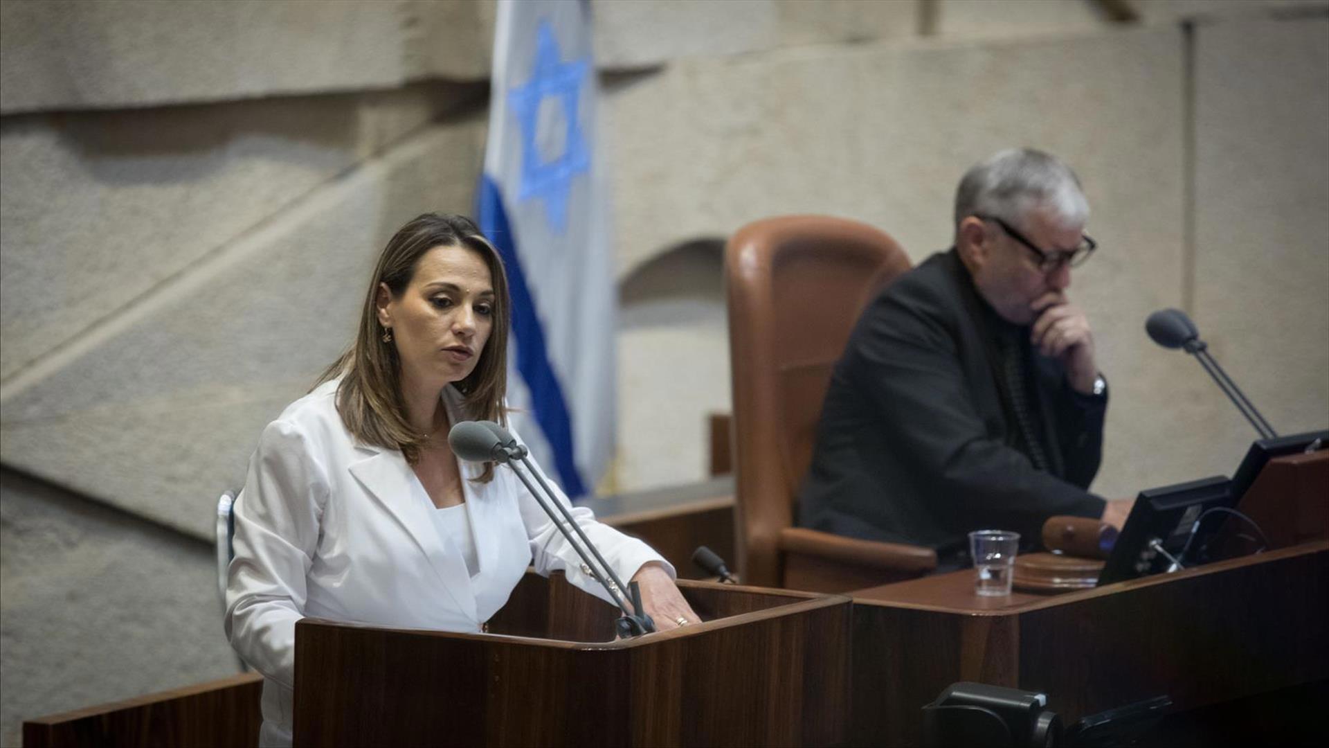 השר יזהר שי מכחול לבן