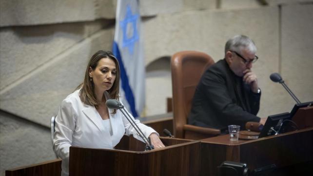 השר יזהר שי מכחול לבן