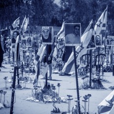 נובה