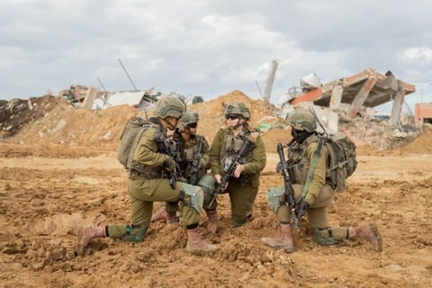 לוחמות צה