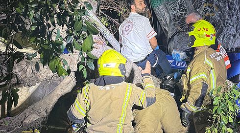 תאונה קשה בתל אביב: פצועים אנוש וקשה בהתנגשות אוטובוס בעץ