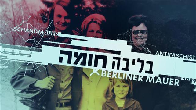 קאבר סידרה ובליבה חומה אנטוניה ימין