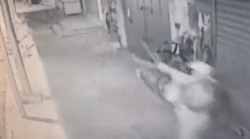 בניגוד לתחקיר צה"ל: במכון לרפואה משפטית קבעו כי הפלסטיני ביריחו מת מירי