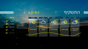 תחזית (15)