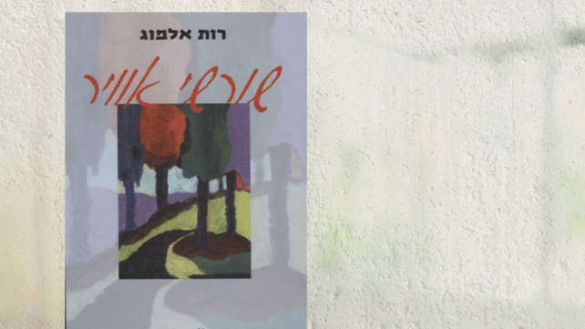 מערכת כאן