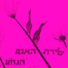 cat26276_img824279362.jpg