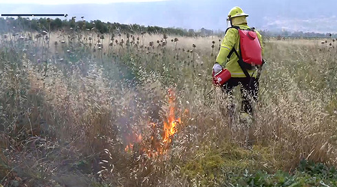 להקדים תרופה לשריפה: הכבאים שהגיעו כל הדרך מאוסטרליה לסייע לצפון