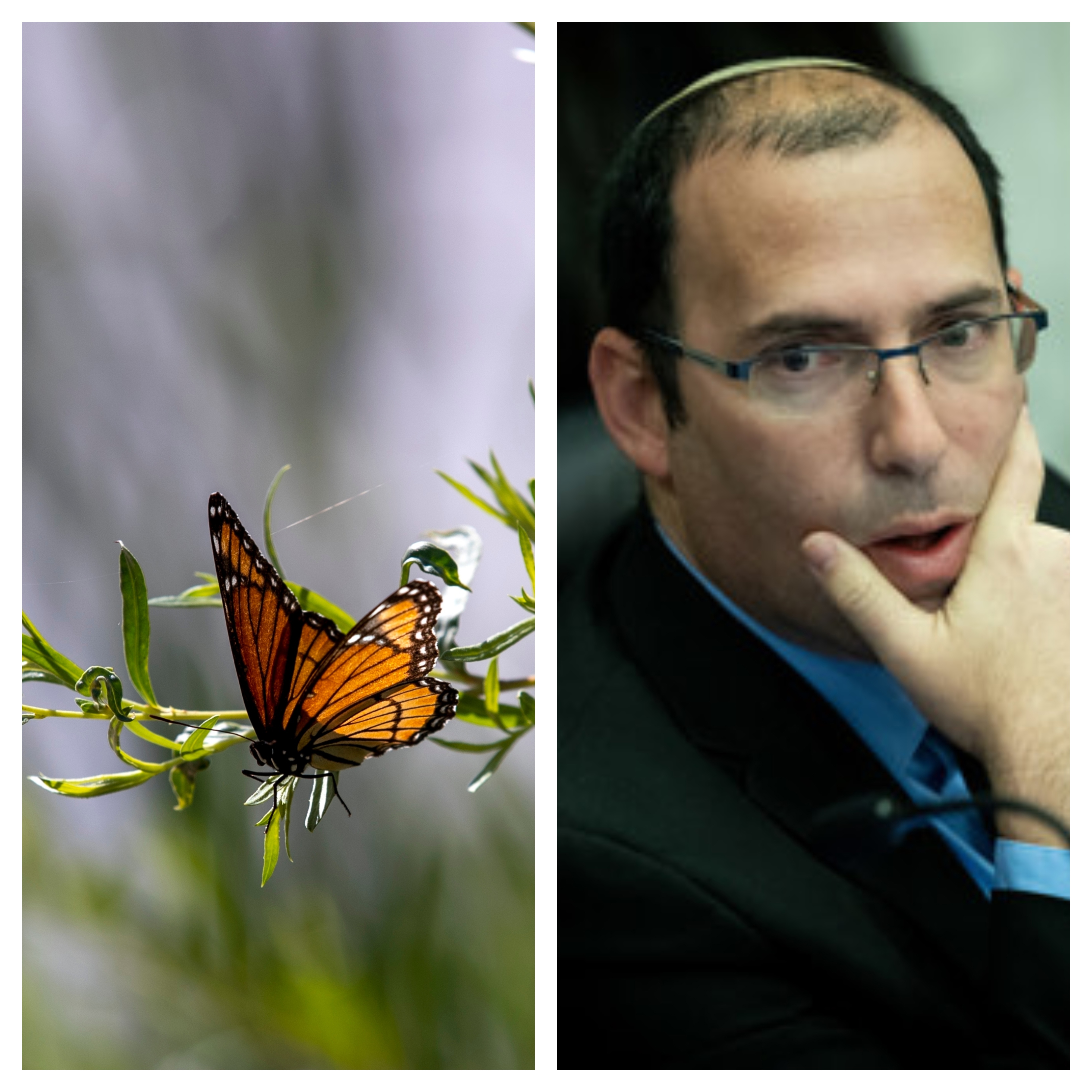 אי-פי