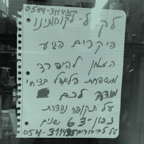 תוכנית הפיצות