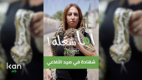 اما شغلة - افاعي