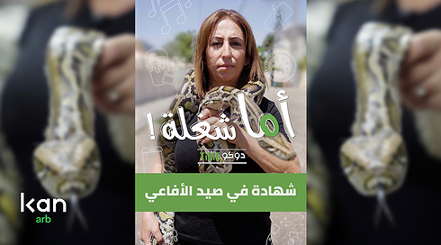 اما شغلة - افاعي