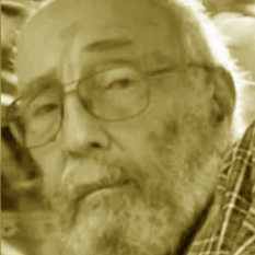 אריה זלמנובית 50