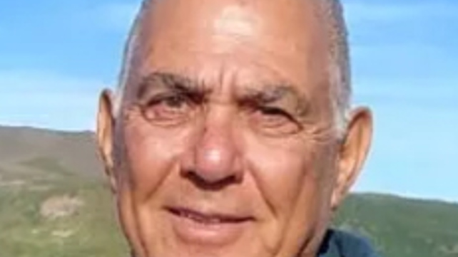 גדי משה מוזס