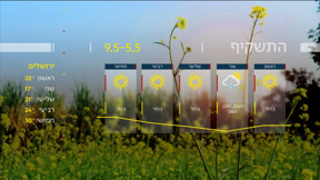 תחזית 04.05.24