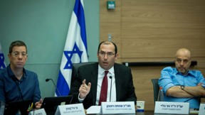 שמחה רוטמן בוועדת החוקה