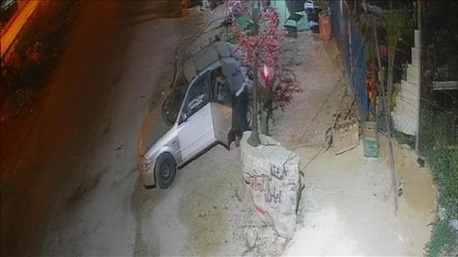 תיעוד הגניבה מהמשתלה באזור שכם