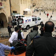 Noticias desde Israel - 21 de noviembre