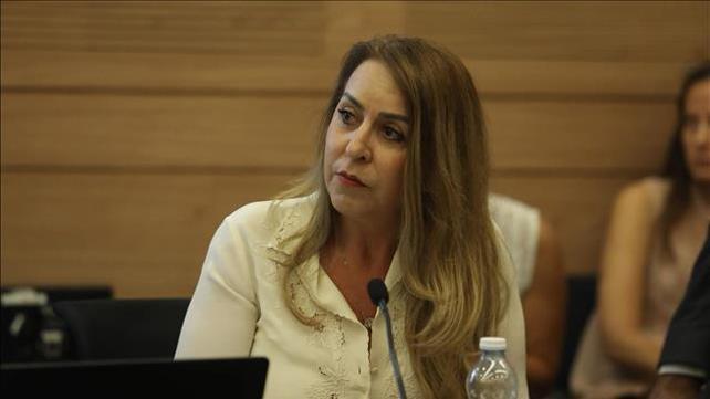 מנכ"לית ועדת הבחירות המרכזית - אורלי עדס