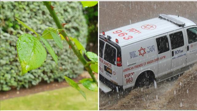 גשם, חורף, מזג אוויר, תחזית, 8.12.19