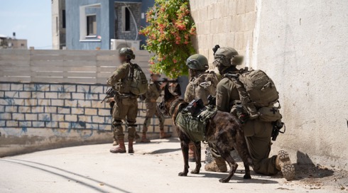 יממה לפתיחת המבצע ביו"ש: ההישגים, הבעיות האסטרטגיות ושיתוף הפעולה עם הרשות