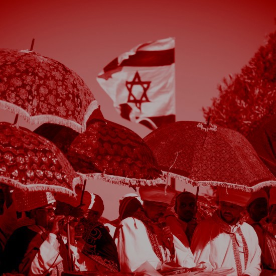 סיגד בצל המלחמה