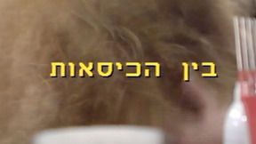 בין הכיסאות | פתיח