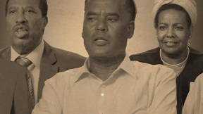 מנהיגות בצל