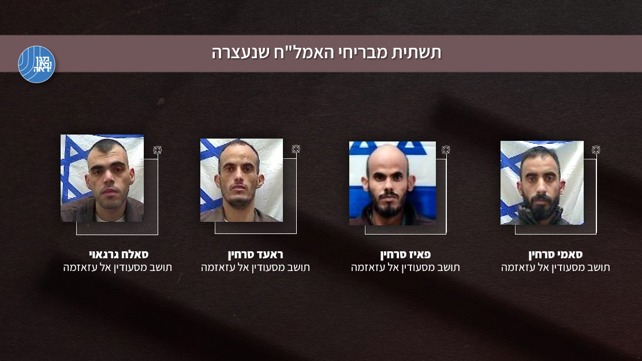 חברי החולייה 