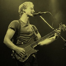 cat24497_img732653365.jpg