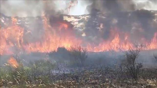 שריפה בנתיב העשרה, 27.6.2019