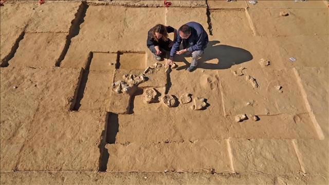 ביצי יען בנות 4000 שנה