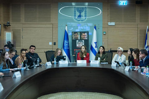 הדיון בוועדה למעמד האישה על אלימות כלפי נשים 25.11