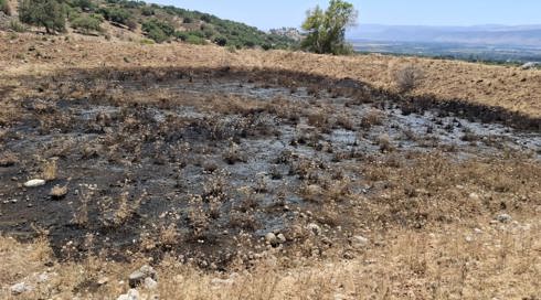 זיהום סביבתי נגרם כתוצאה מהזרמת נפט לשטח פתוח סמוך לנחל שיאון שלמרגלות הגולן