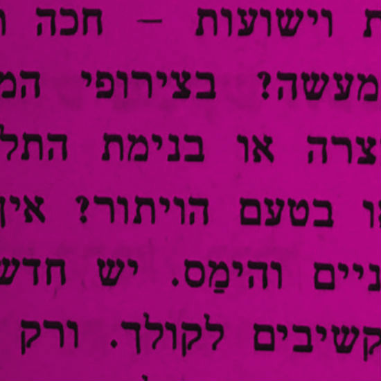 המזיקים, ידם בכל