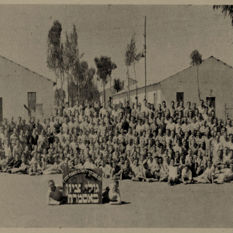cat15400_img425040148.jpg